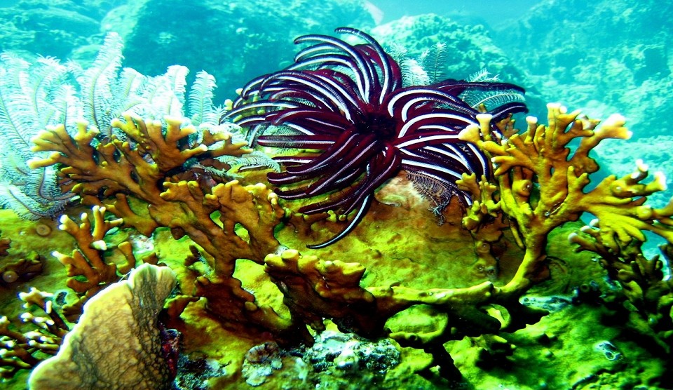 Badeferien Koh Phi Phi