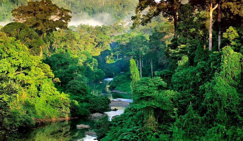 Ferien auf Borneo  einsamer Traumstrand und 