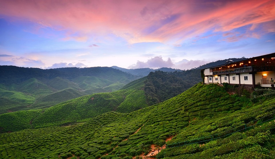 Ferien den Cameron Highlands Premium Hotels BARROM Reisen