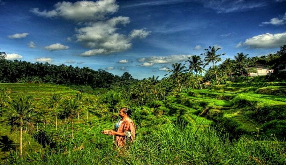 Bali 