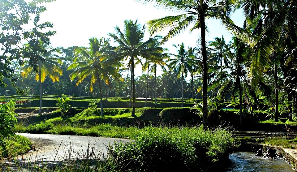 Ubud Bali