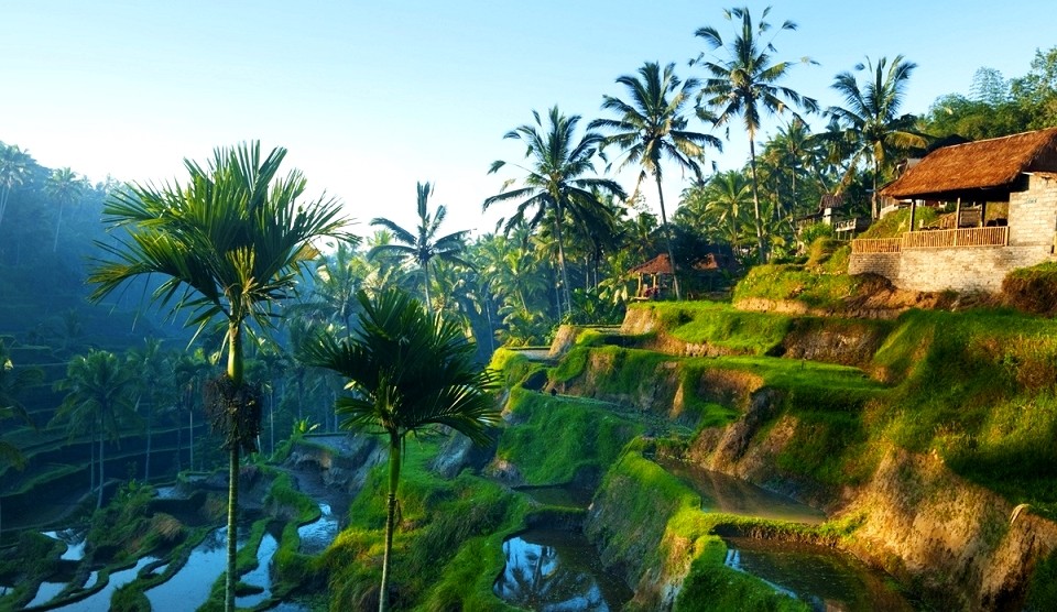 Ubud