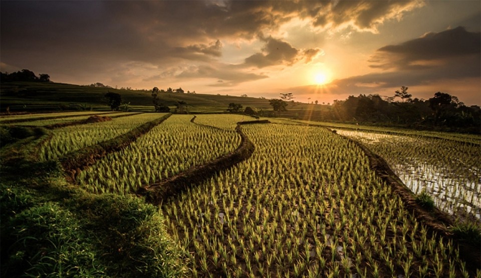 Lombok