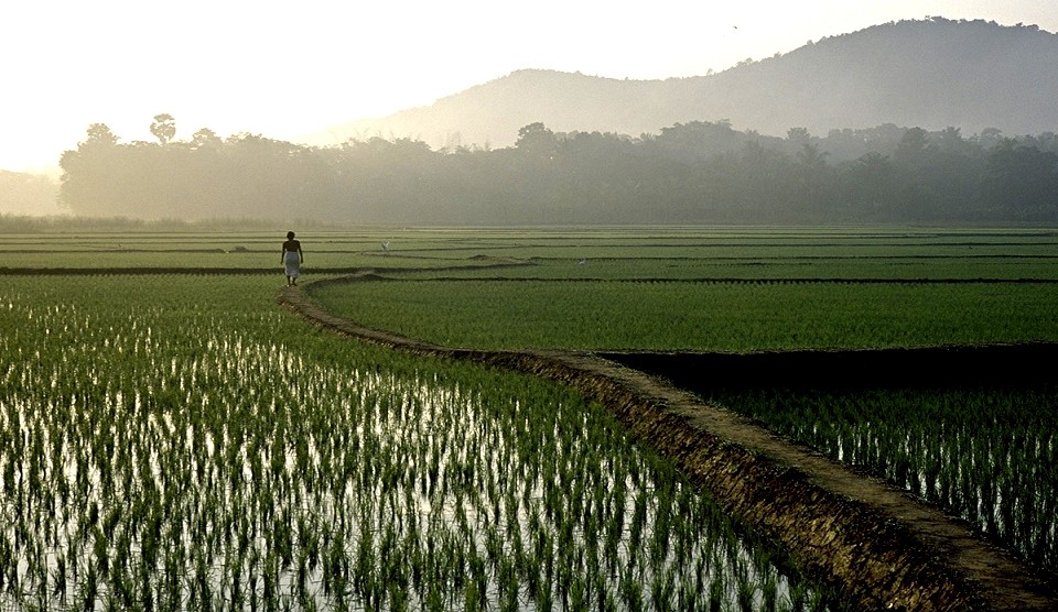 Siem Reap