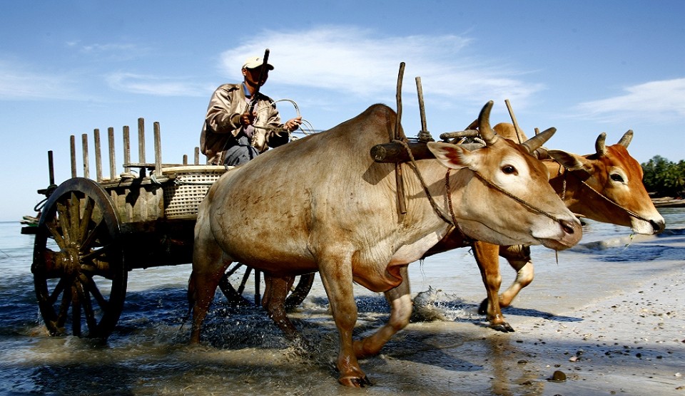 Myanmar