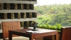 Alila - Ubud