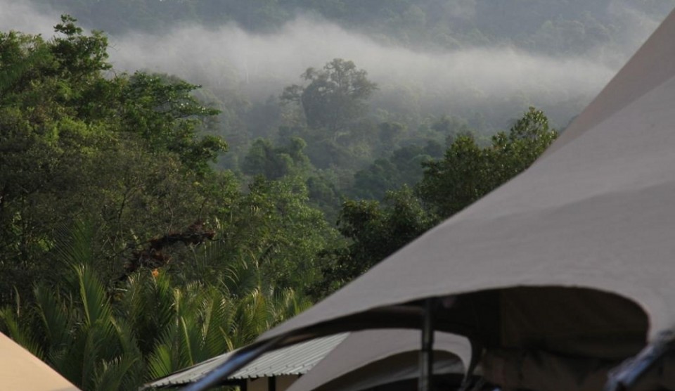 4 Rivers Eco Lodge - Tatai