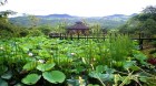 Inle Princess - Inle Lake