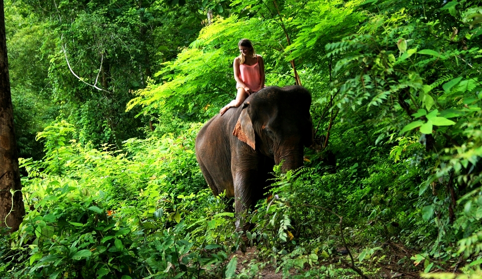 Die Schätze von Laos