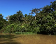 Borneo Safari