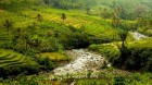 Java der Garten Indonesiens