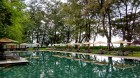 Lone Pine - Penang