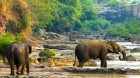 Naturparadies Südlaos