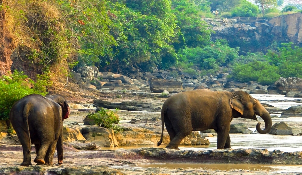 Naturparadies Südlaos